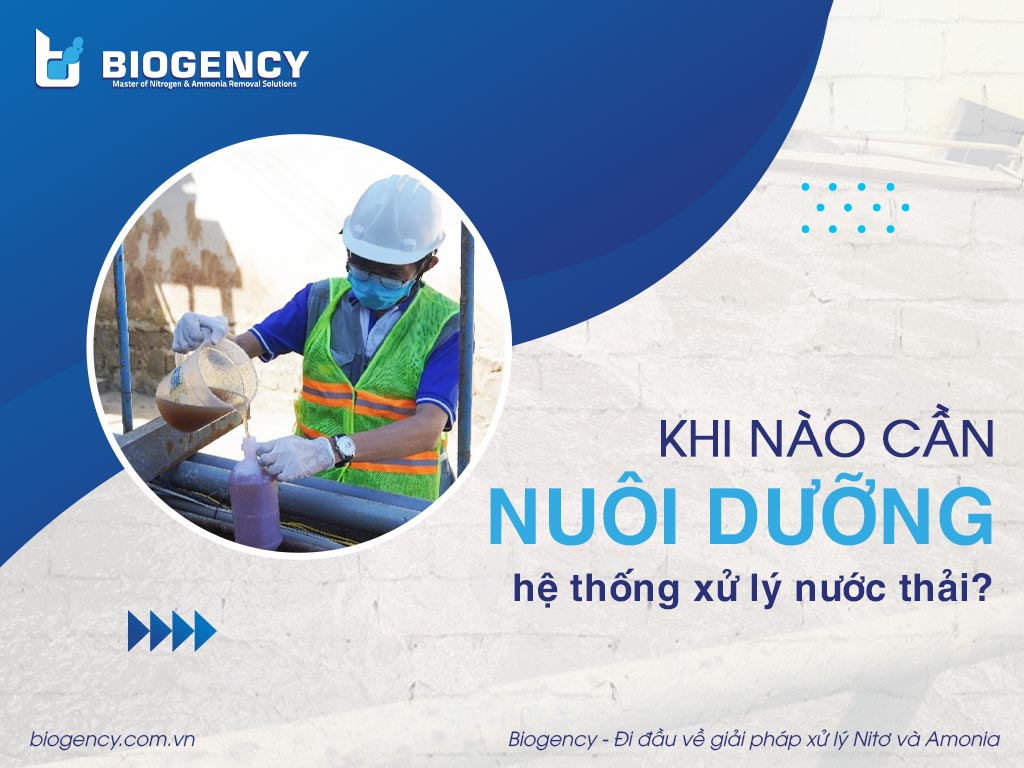 Khi nào cần nuôi dưỡng hệ thống xử lý nước thải?