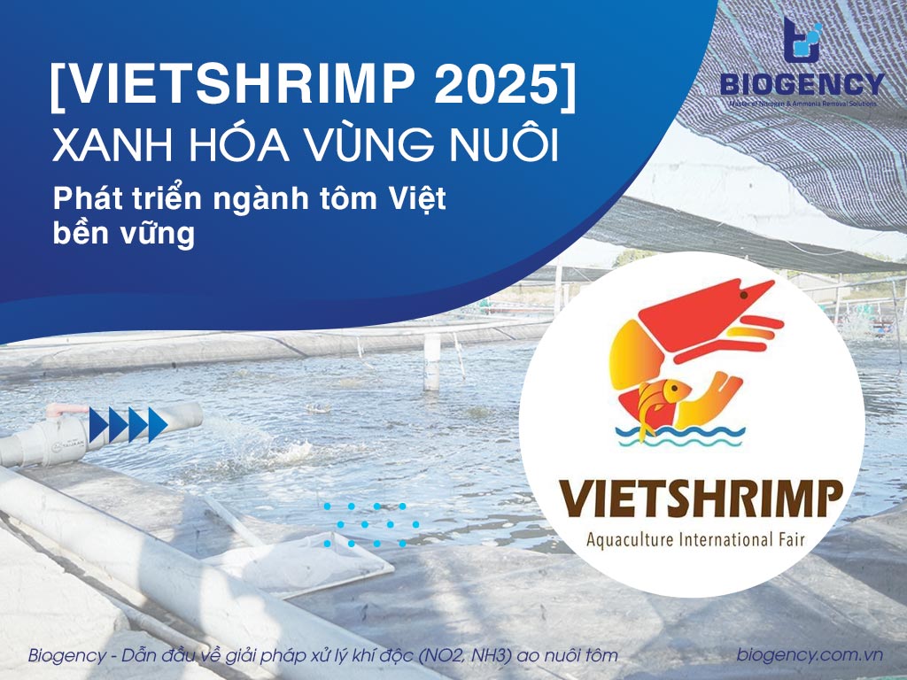 [Vietshrimp 2025: Xanh hóa vùng nuôi] Phát triển ngành tôm Việt bền vững