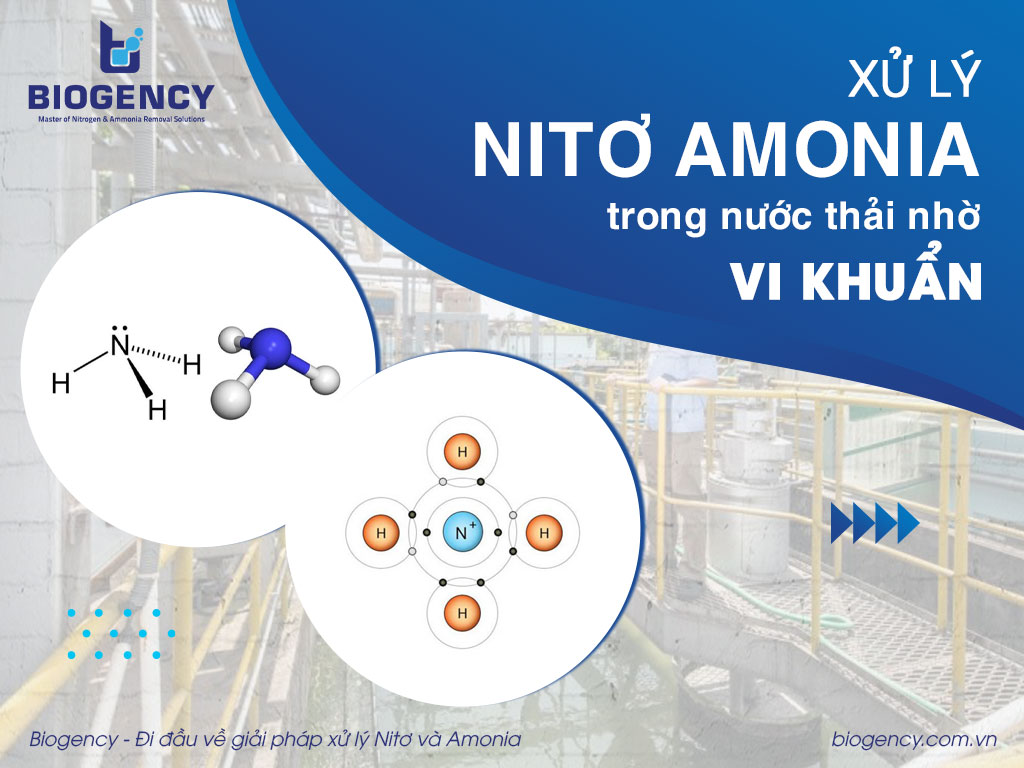 Xử lý Nitơ Amonia trong nước thải nhờ vi khuẩn