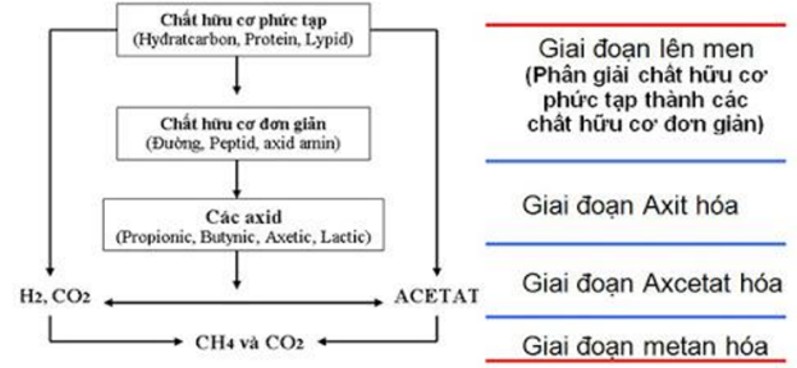 Cách giảm BOD sau hầm Biogas nước thải chăn nuôi heo Cách giảm BOD sau hầm Biogas nước thải chăn nuôi heo