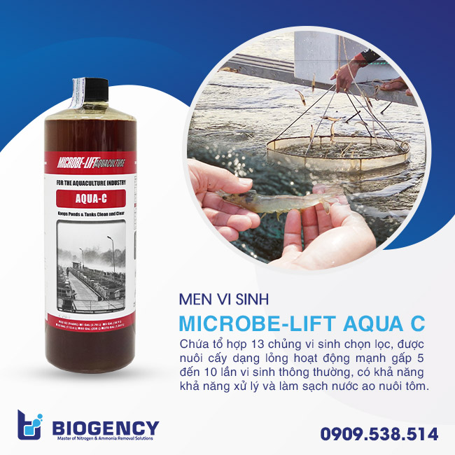 Nuôi tôm giảm chất thải là cần thiết! Nuôi tôm giảm chất thải là cần thiết!