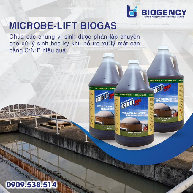 Cách xử lý mất cân bằng C:N:P trong hệ thống xử lý nước thải