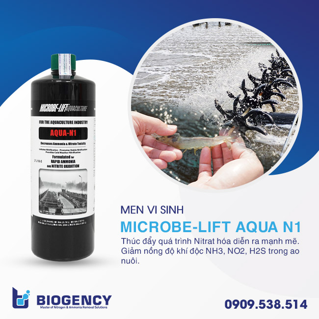 Nuôi tôm giảm chất thải là cần thiết! Nuôi tôm giảm chất thải là cần thiết!