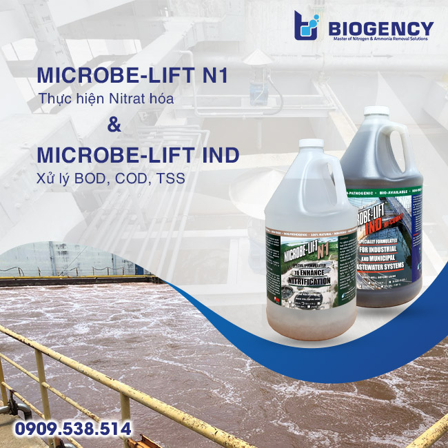 Cách xử lý mất cân bằng C:N:P trong hệ thống xử lý nước thải