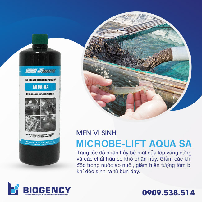 Nuôi tôm giảm chất thải là cần thiết! Nuôi tôm giảm chất thải là cần thiết!