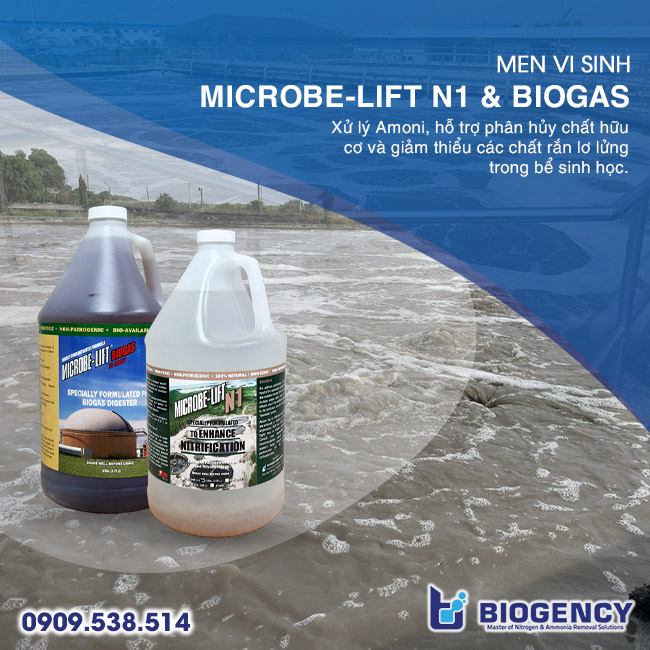 Nguyên nhân & Giải pháp xử lý sốc tải HTXLNT cao su