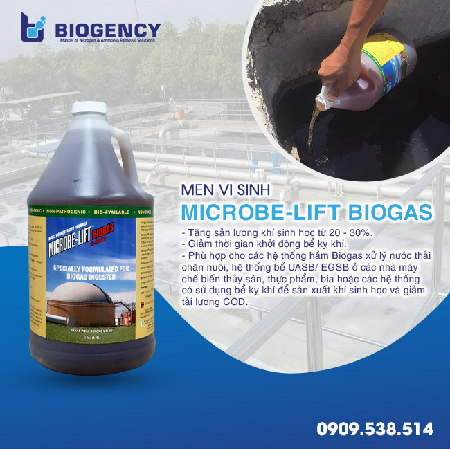 4 sản phẩm vi sinh giúp nhà thầu khởi động nhanh HTXLNT 4 sản phẩm vi sinh giúp nhà thầu khởi động nhanh HTXLNT