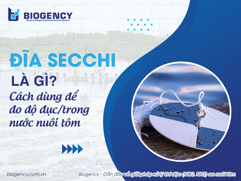 Đĩa Secchi là gì? Cách dùng đĩa Secchi đo độ đục/trong nước nuôi tôm