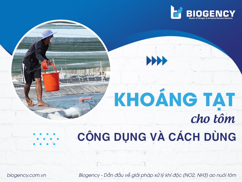 Khoáng tạt cho tôm là gì? Công dụng và cách dùng khoáng tạt