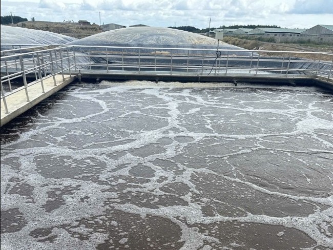 [BIOGENCY] Giải pháp: Xử lý nước thải sản xuất thuốc (dược phẩm)