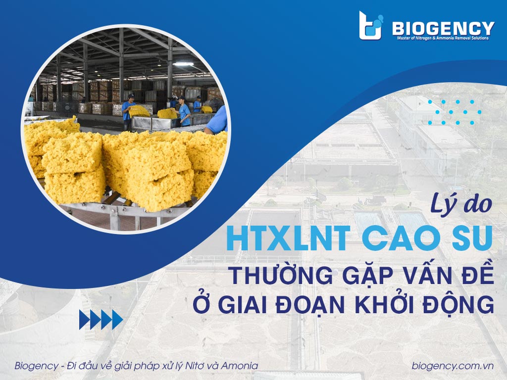 Lý do HTXLNT cao su thường gặp vấn đề ở giai đoạn khởi động