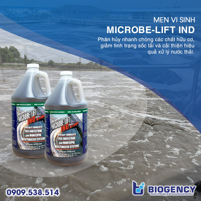 Nguyên nhân & Giải pháp xử lý sốc tải HTXLNT cao su