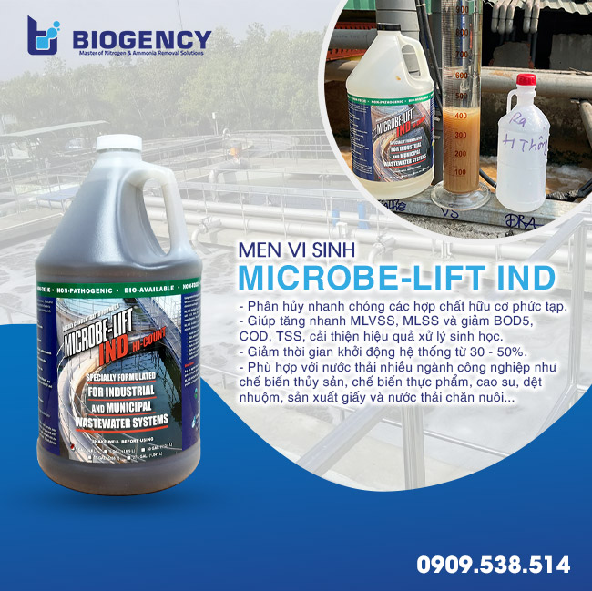 4 sản phẩm vi sinh giúp nhà thầu khởi động nhanh HTXLNT 4 sản phẩm vi sinh giúp nhà thầu khởi động nhanh HTXLNT