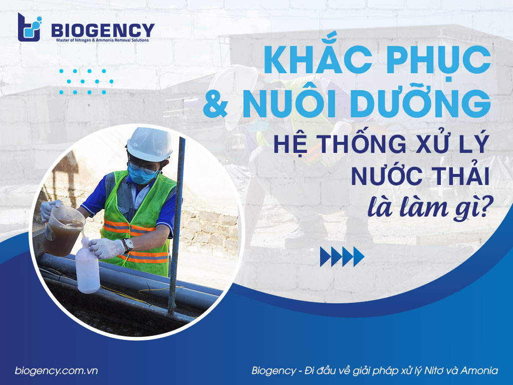 Khắc phục và nuôi dưỡng hệ thống xử lý nước thải là làm gì?