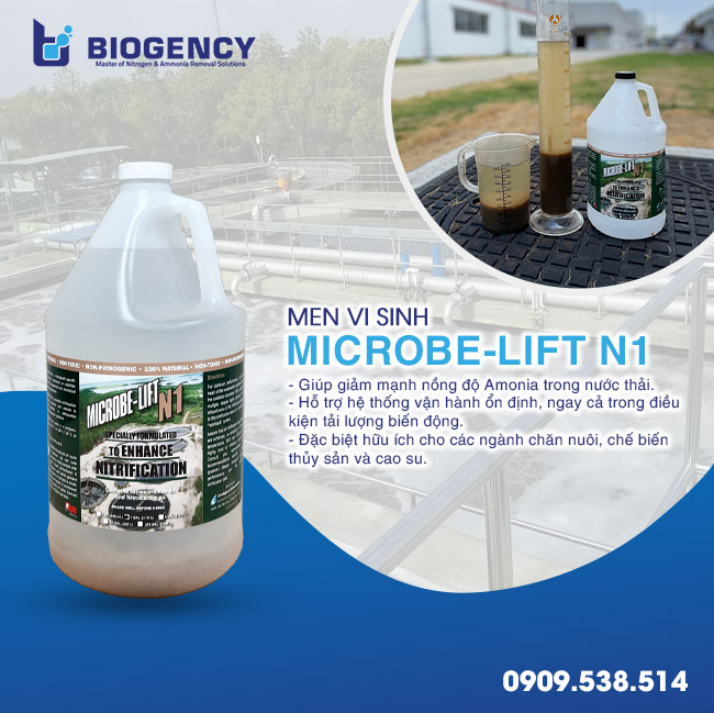 4 sản phẩm vi sinh giúp nhà thầu khởi động nhanh HTXLNT 4 sản phẩm vi sinh giúp nhà thầu khởi động nhanh HTXLNT