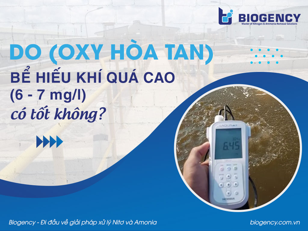 DO (oxy hòa tan) trong bể hiếu khí quá cao (6-7mg/l) có tốt không?
