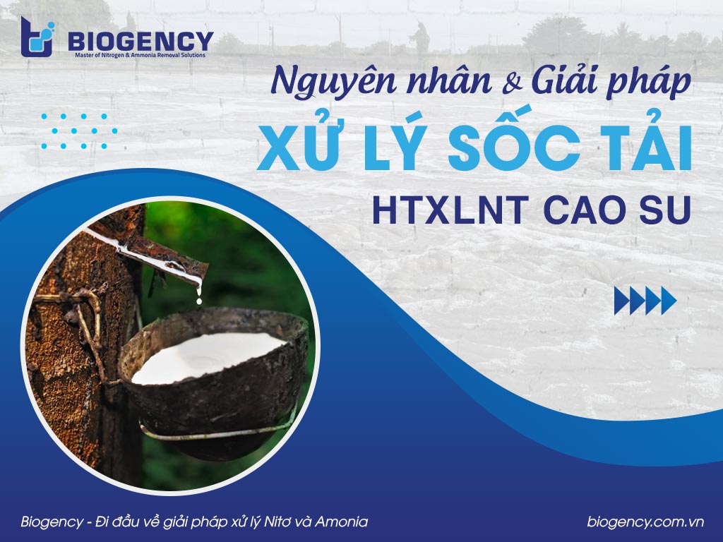 Nguyên nhân & Giải pháp xử lý sốc tải HTXLNT cao su