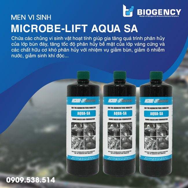 Ứng dụng men vi sinh vào quy trình nuôi cá tra