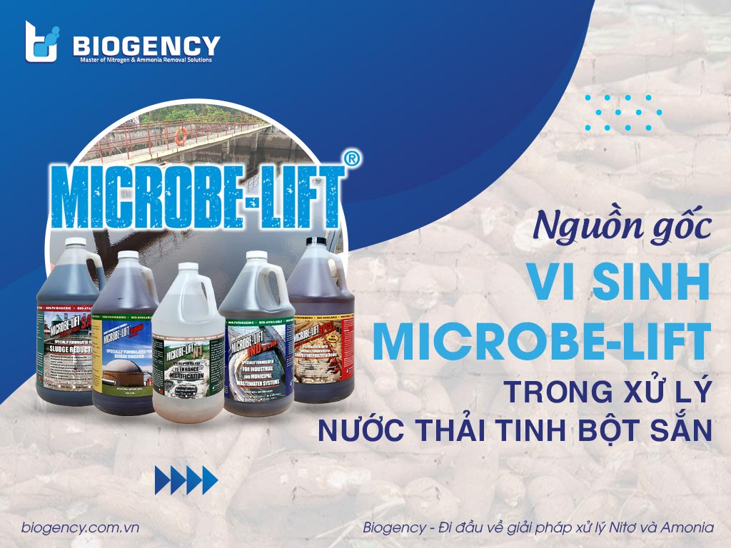 Nguồn gốc vi sinh Microbe-Lift trong xử lý nước thải tinh bột sắn