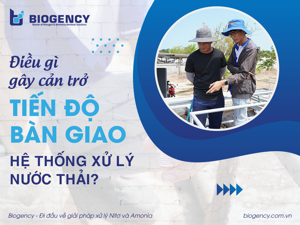 Điều gì gây cản trở tiến độ bàn giao hệ thống xử lý nước thải?