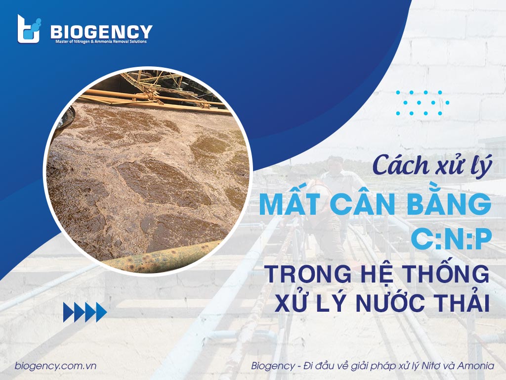 Cách xử lý mất cân bằng C:N:P trong hệ thống xử lý nước thải