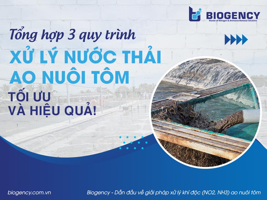Tổng hợp 3 quy trình xử lý nước thải ao nuôi tôm tối ưu và hiệu quả!