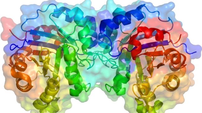 Tầm quan trọng của Enzyme trong nuôi trồng thủy sản Tầm quan trọng của Enzyme trong nuôi trồng thủy sản