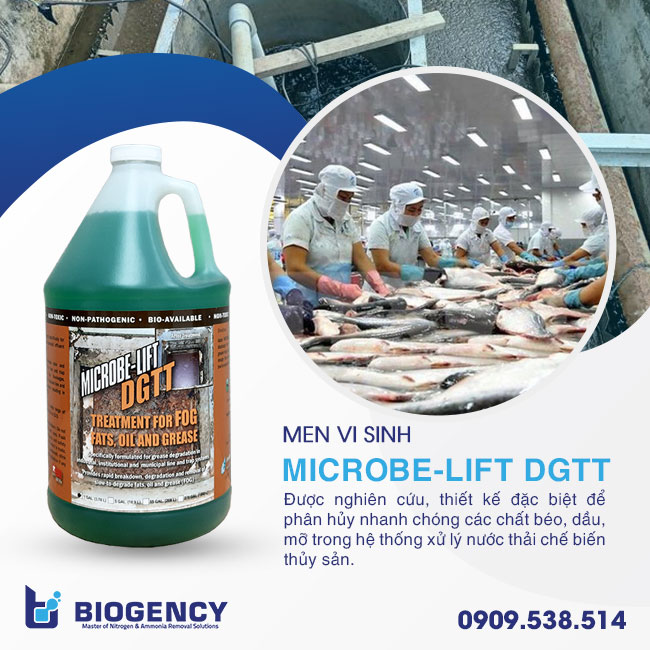 Nước thải thủy sản bị bùn nổi trên bề mặt, làm thế nào để khắc phục? Nước thải thủy sản bị bùn nổi trên bề mặt, làm thế nào để khắc phục?