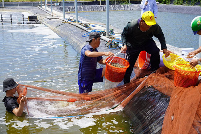 [VietShrimp 2025] BIOGENCY mang đến Giải pháp 5G giúp “Không thay nước - Giảm nguy cơ EHP”