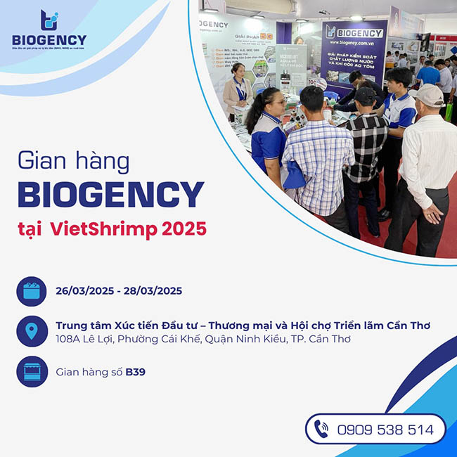 Giá trị thiết thực giúp “Không thay nước - Giảm nguy cơ EHP” từ BIOGENCY tại VietShrimp 2025 Giá trị thiết thực giúp “Không thay nước - Giảm nguy cơ EHP” từ BIOGENCY tại VietShrimp 2025