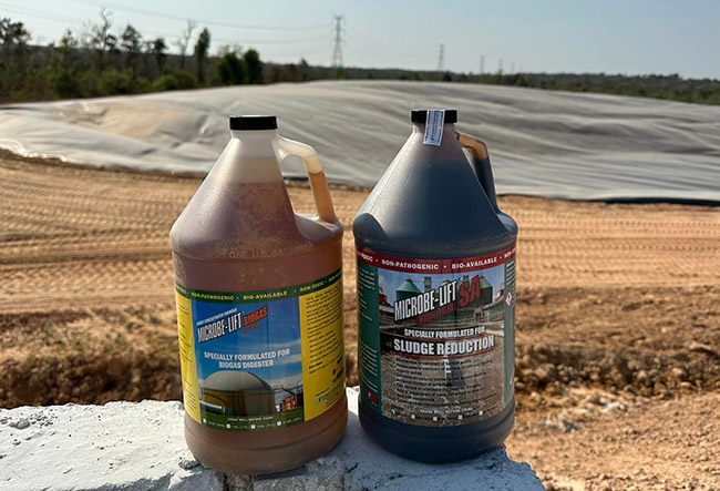 [Phương án] Xử lý sự cố & Nuôi dưỡng hệ sinh học AAO nước thải chế biến bánh kẹo (500 m3/ngày) trong 30 ngày