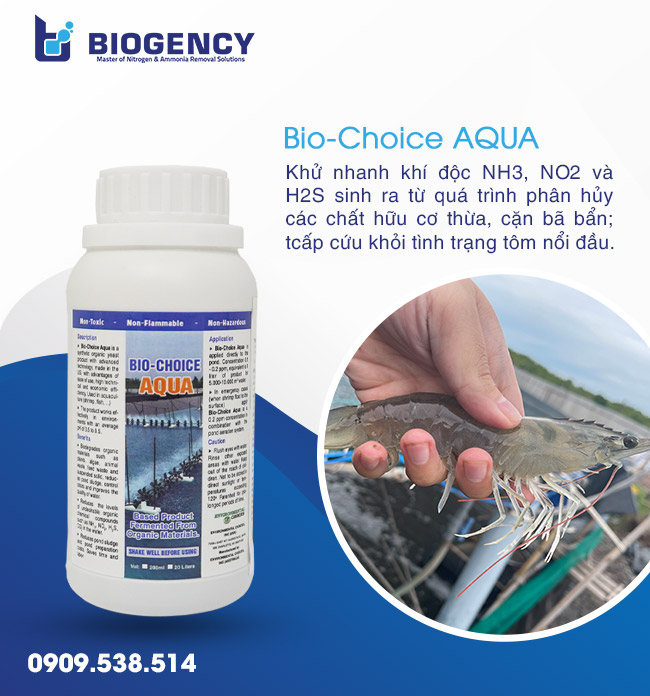 Tầm quan trọng của Enzyme trong nuôi trồng thủy sản Tầm quan trọng của Enzyme trong nuôi trồng thủy sản