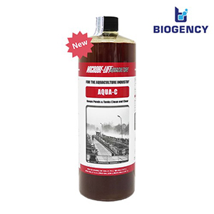 [VietShrimp 2025] BIOGENCY mang đến Giải pháp 5G giúp “Không thay nước - Giảm nguy cơ EHP”