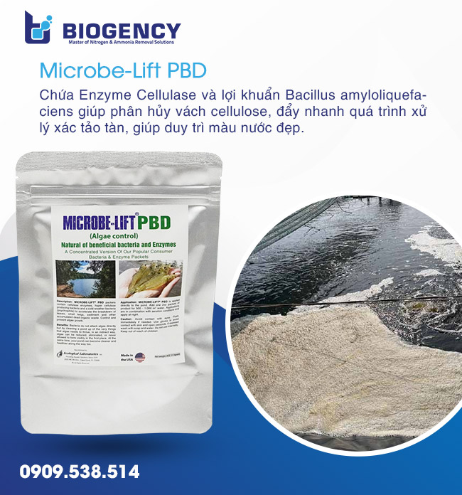Tầm quan trọng của Enzyme trong nuôi trồng thủy sản Tầm quan trọng của Enzyme trong nuôi trồng thủy sản