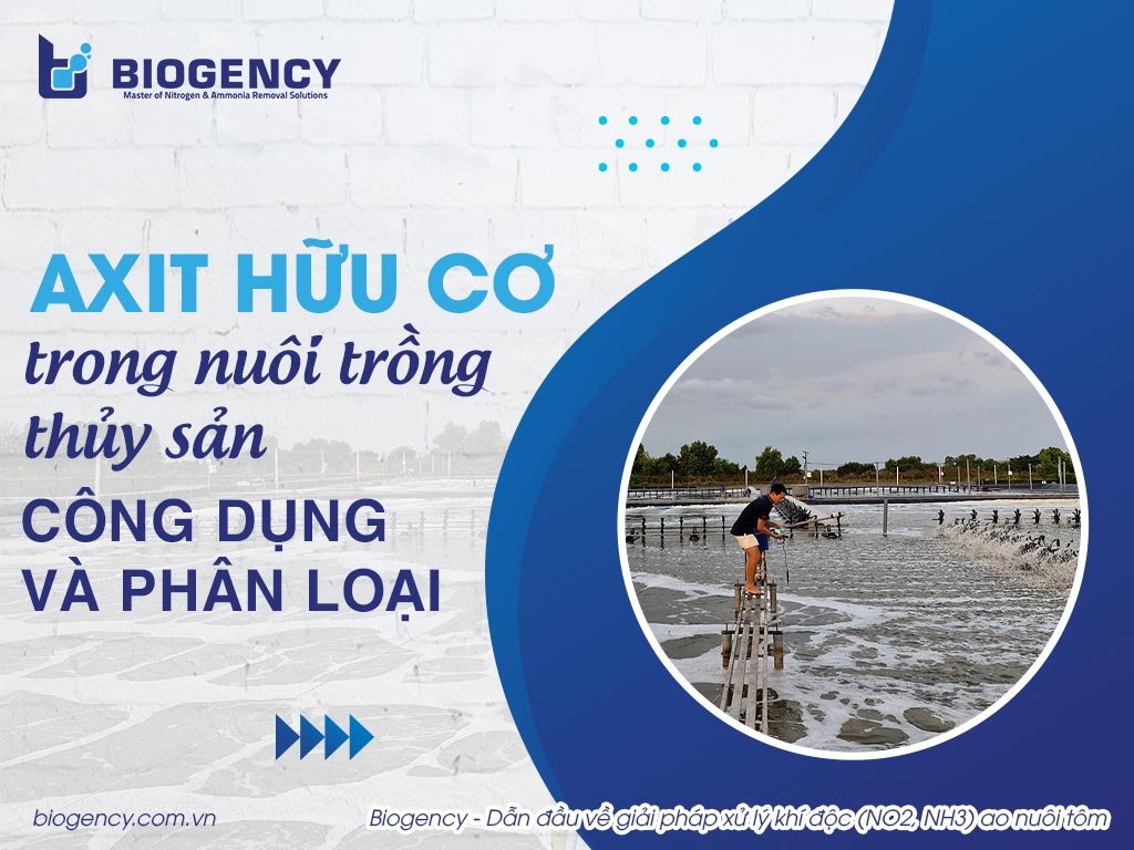Axit hữu cơ dùng trong nuôi trồng thủy sản là gì? Công dụng và phân loại