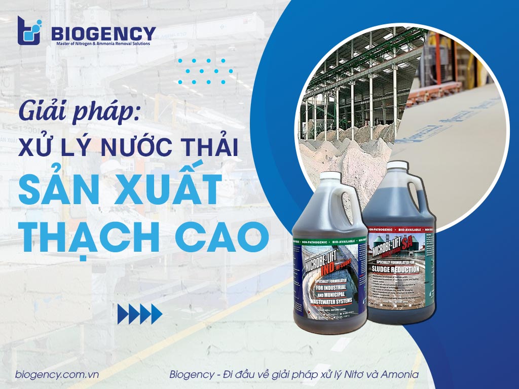 [BIOGENCY] Giải pháp: Xử lý nước thải sản xuất thạch cao