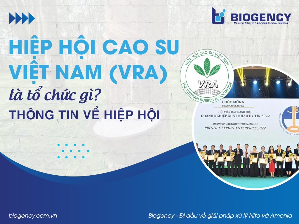Hiệp hội Cao su Việt Nam (VRA) là tổ chức gì? Thông tin về Hiệp hội
