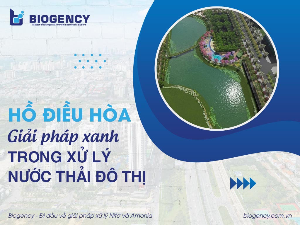 Hồ điều hòa: Giải pháp xanh trong xử lý nước thải đô thị
