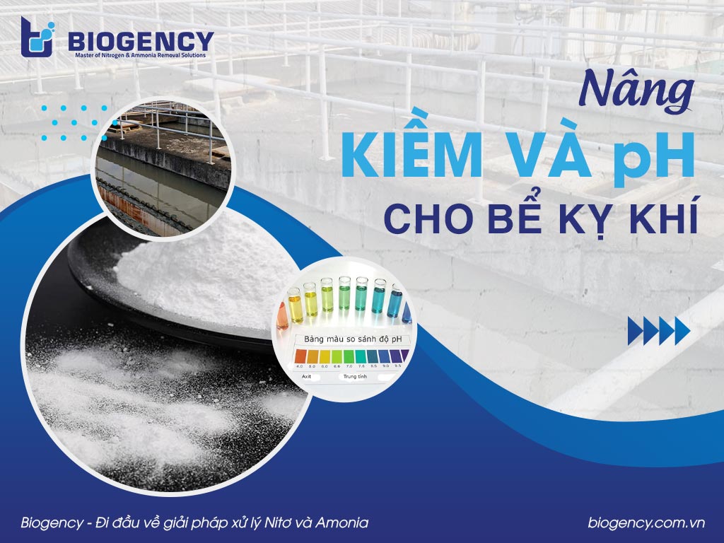 Nâng kiềm và pH cho bể kỵ khí