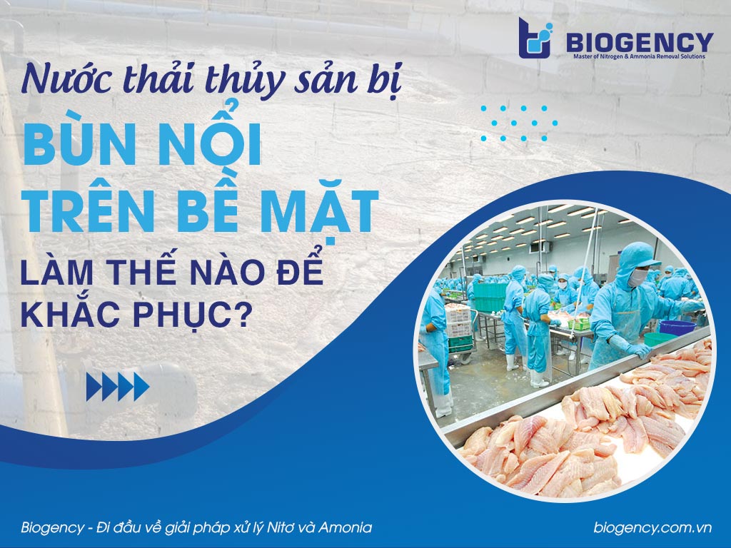 Nước thải thủy sản bị bùn nổi trên bề mặt, làm thế nào để khắc phục?