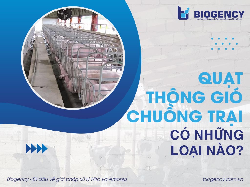 Quạt thông gió chuồng trại có những loại nào?