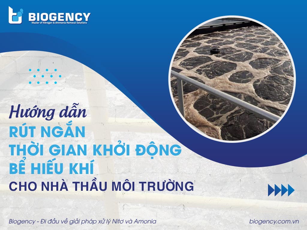 Hướng dẫn rút ngắn thời gian khởi động bể hiếu khí cho nhà thầu môi trường
