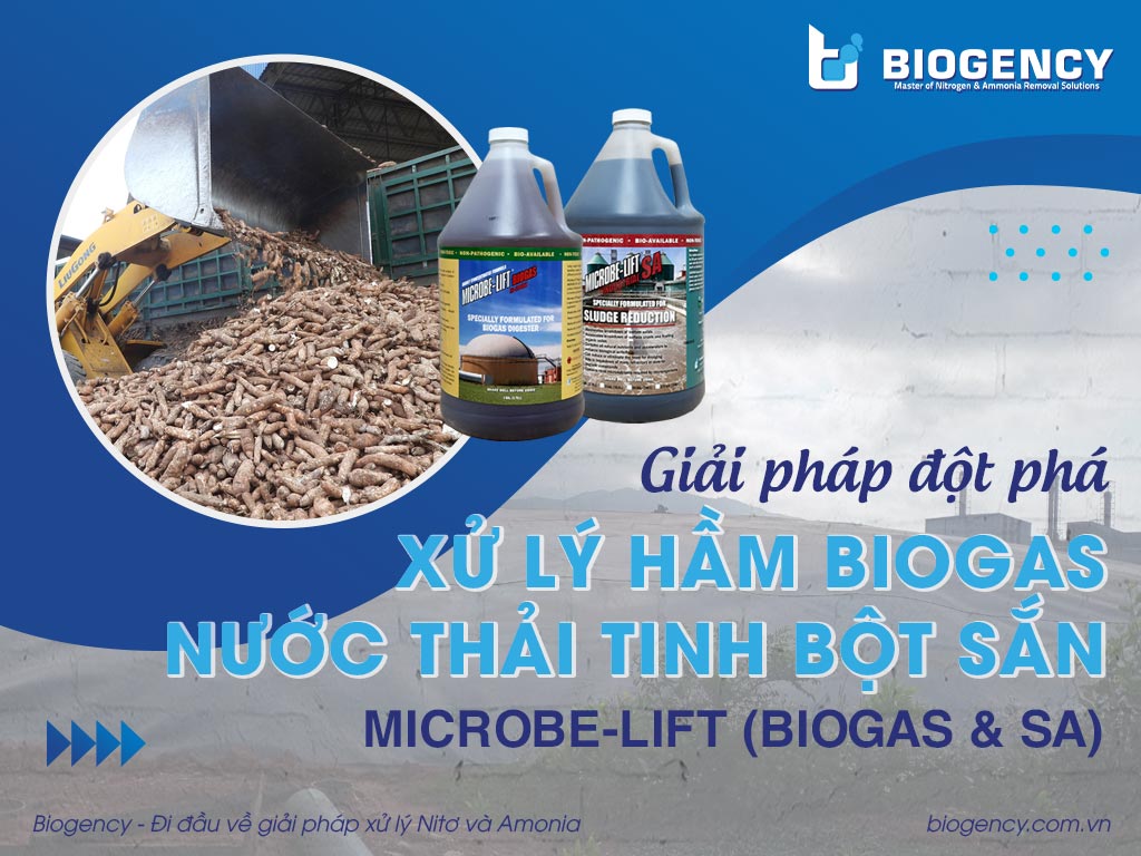 Giải pháp đột phá xử lý hầm Biogas nước thải tinh bột sắn từ Microbe-Lift BIOGAS & Microbe-Lift SA