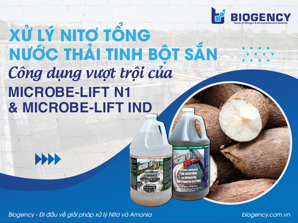 Xử lý Nitơ tổng nước thải tinh bột sắn: Công dụng vượt trội của Microbe-Lift N1 & Microbe-Lift IND