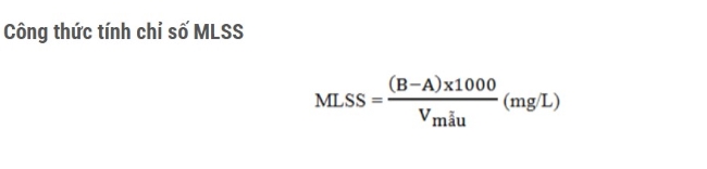 MLSS của nước thải chế biến thủy sản bị thấp, nguyên nhân và cách khắc phục MLSS của nước thải chế biến thủy sản bị thấp, nguyên nhân và cách khắc phục