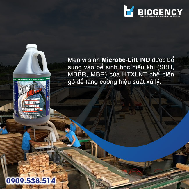 Quy trình xử lý nước thải chế biến gỗ Quy trình xử lý nước thải chế biến gỗ