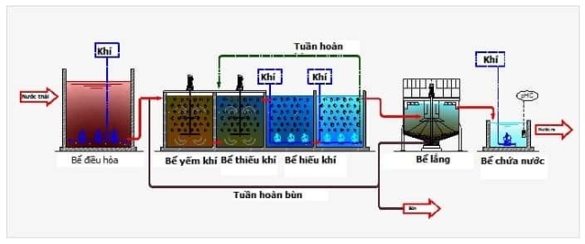 Bể Anoxic. Bể Anoxic.