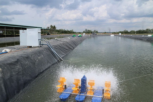 Sát trùng dụng cụ/ thiết bị - máy sục khí là một trong những khâu cũng cần được quan tâm.