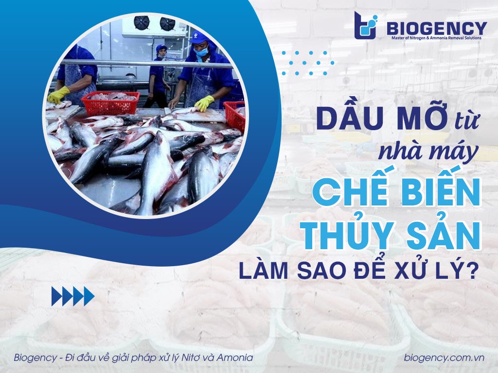 Dầu mỡ phát sinh từ nhà máy chế biến thủy sản, làm sao để xử lý?