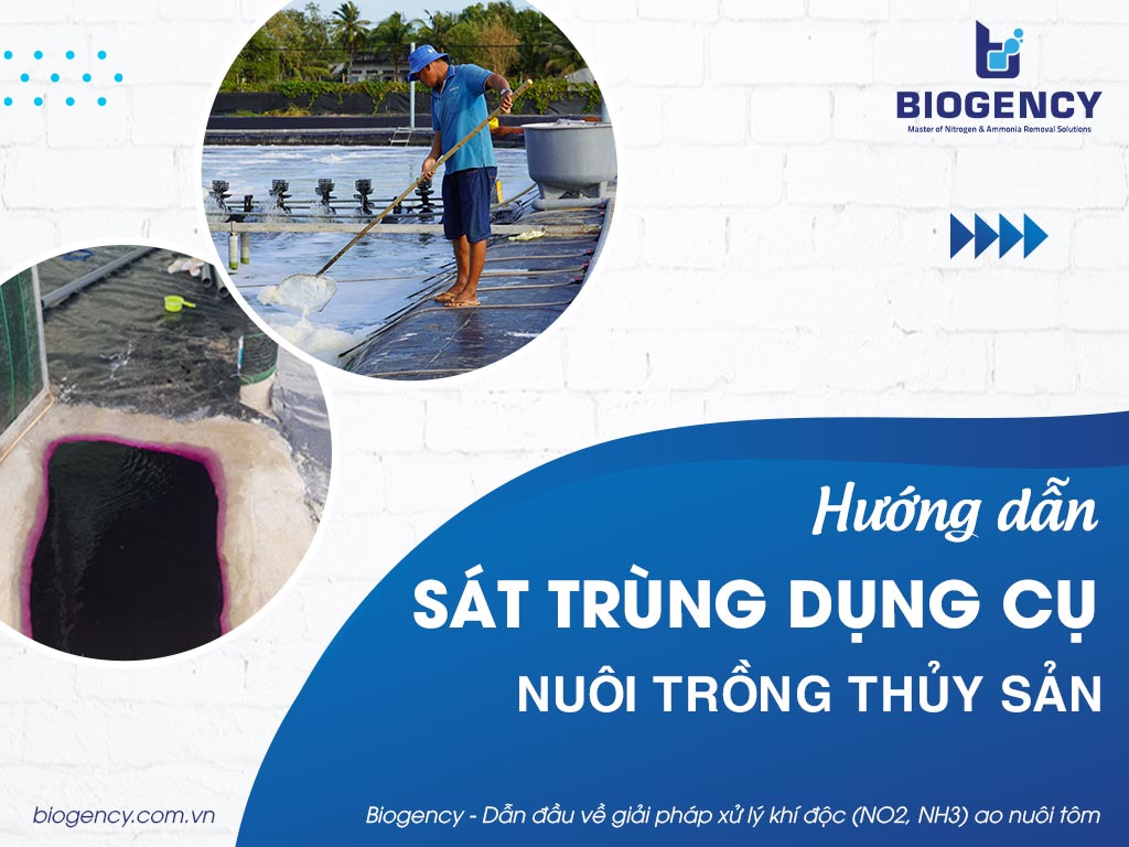 Hướng dẫn sát trùng dụng cụ nuôi trồng thủy sản
